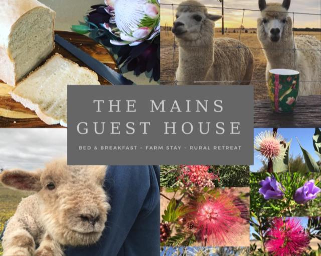 The Mains Guest House Corrigin Extérieur photo